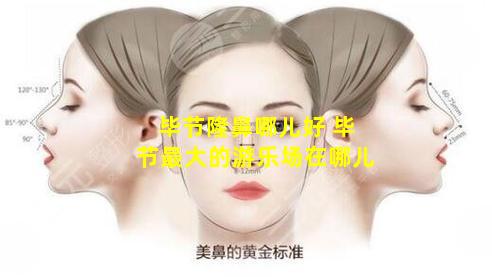 毕节隆鼻哪儿好 毕节最大的游乐场在哪儿